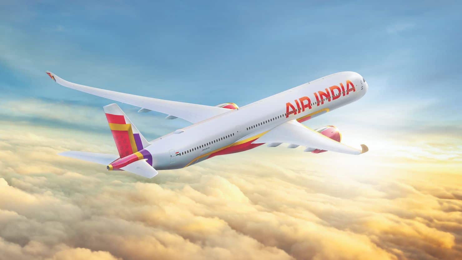 Air India Airplane (2)